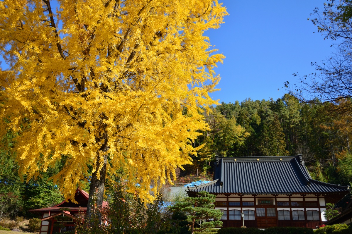 长福寺 | 长野县池田町