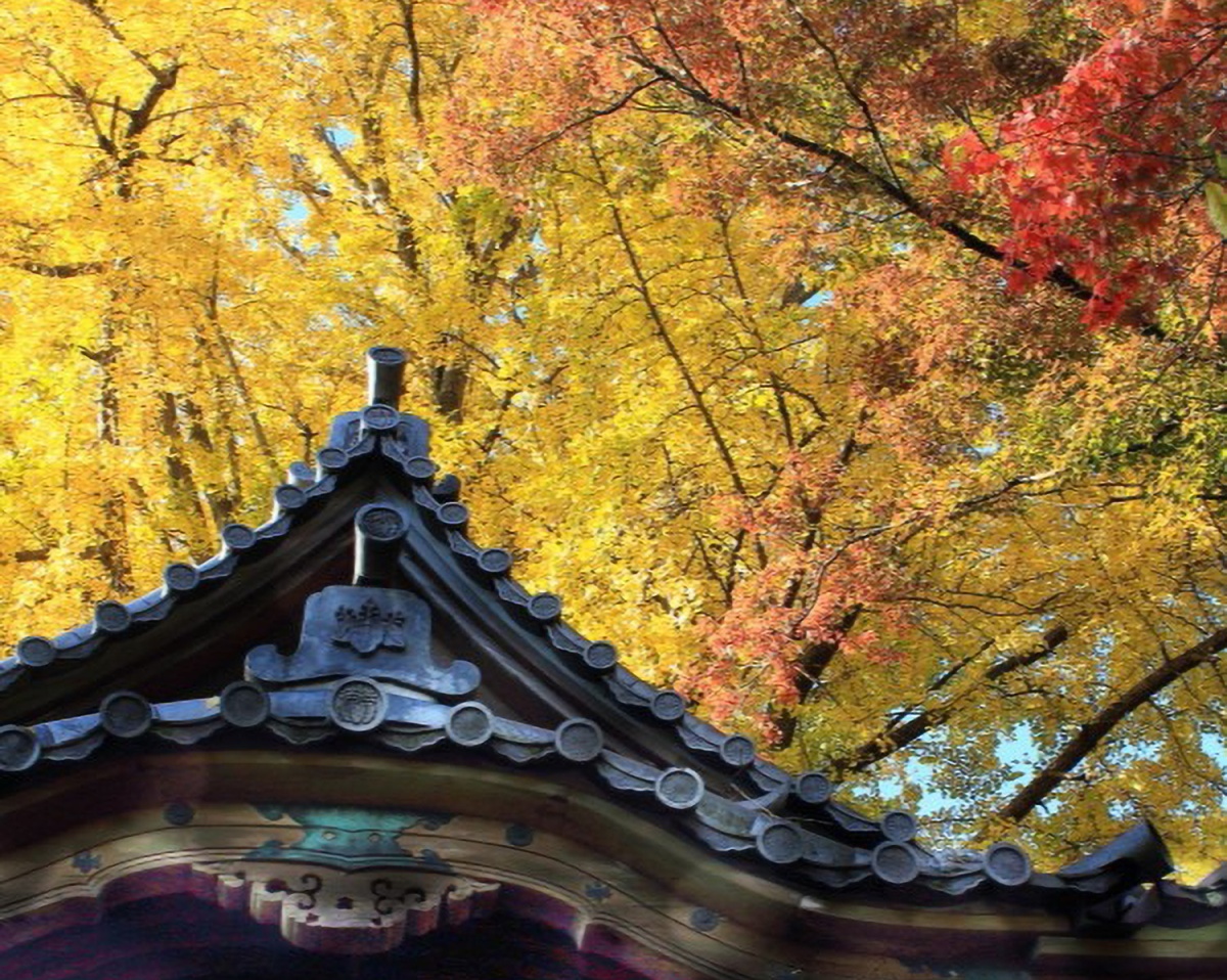 歴史と自然が織りなす、秋の三溪園を歩く
