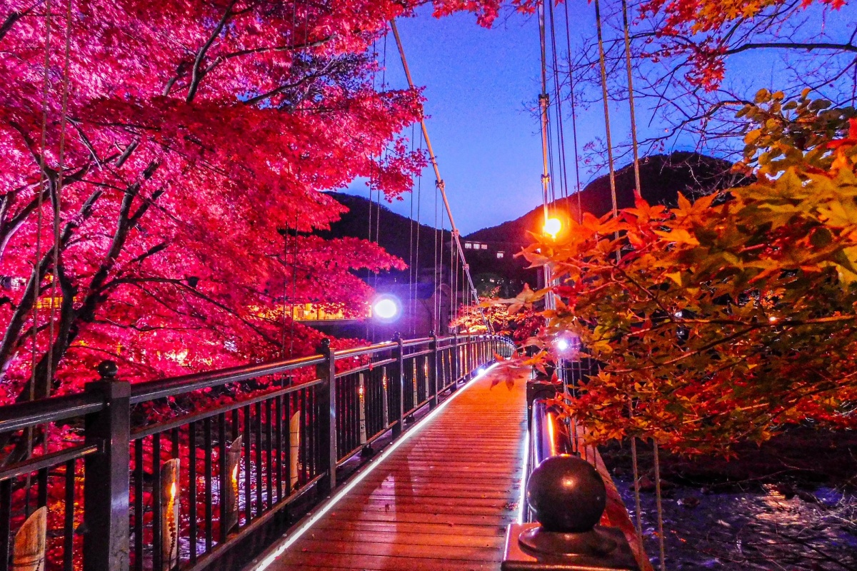 紅色吊橋上的夜間點燈與夢幻光影