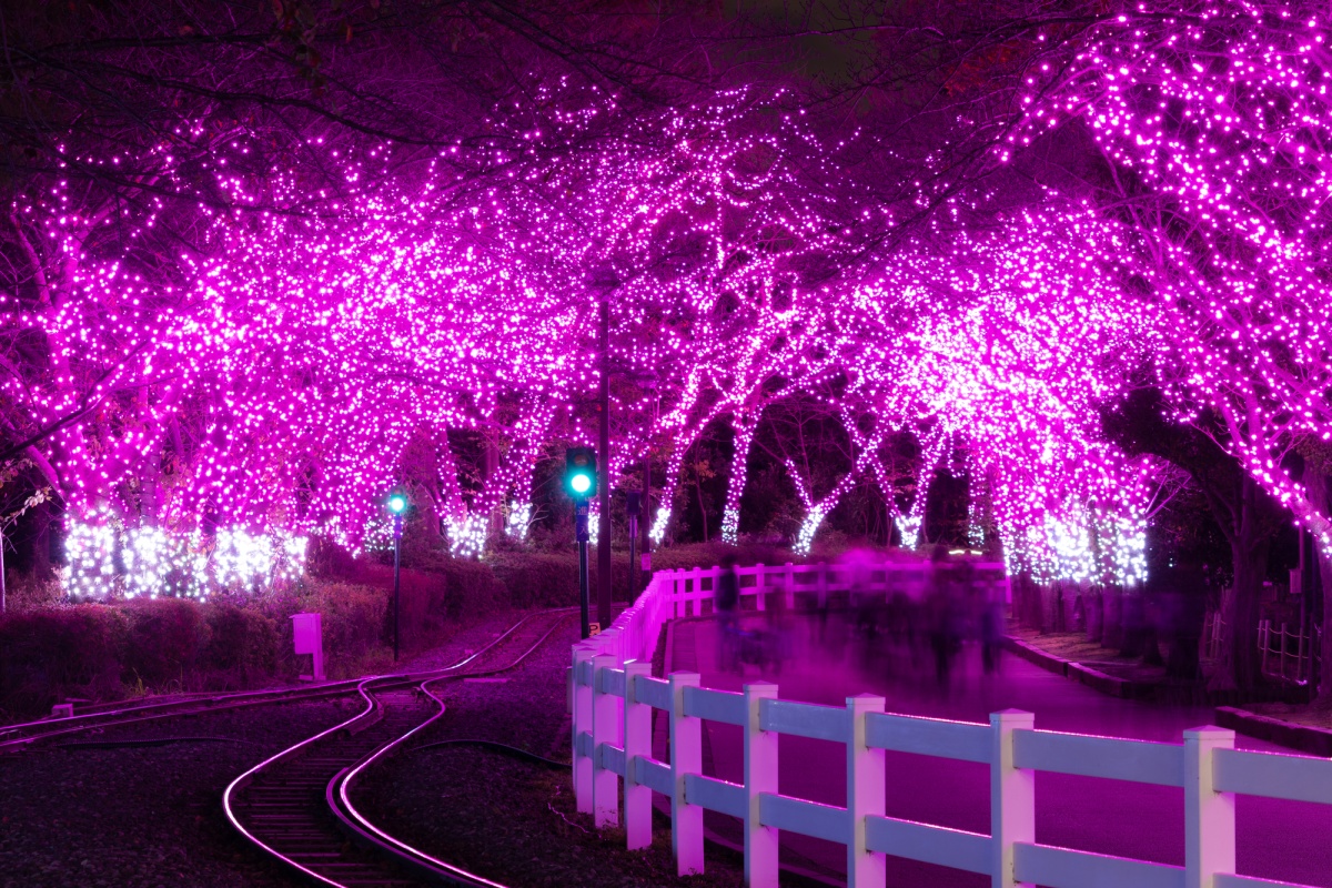 东武动物公园冬季灯光秀（琦玉县）