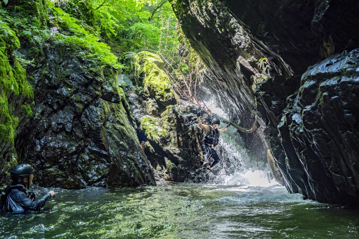 Fuji Forest (Hinohara Village): Experience the blessings of clear streams and forests