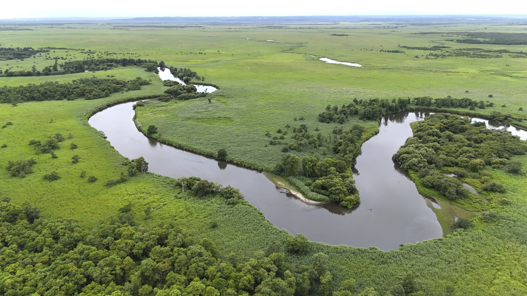 A Great Wetland Wilderness: Exploring Kushiroshitsugen National Park