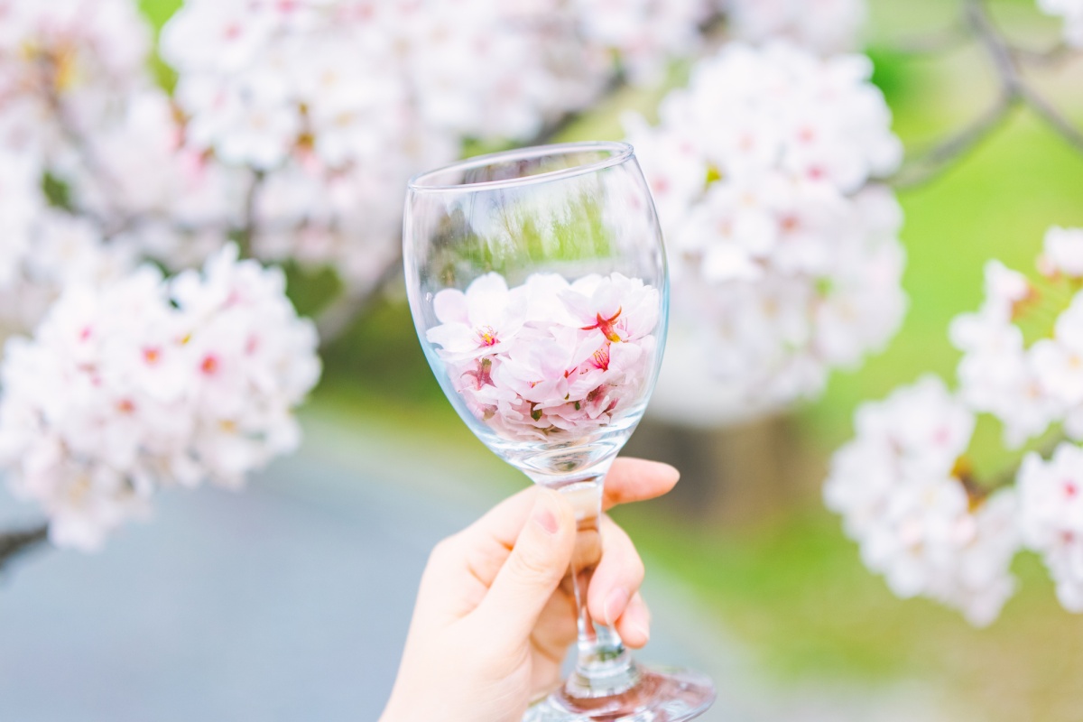 浪漫背后的真相：“平账”引发的蝴蝶效应