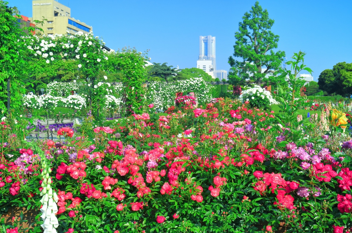 Yamashita Park, Yokohama