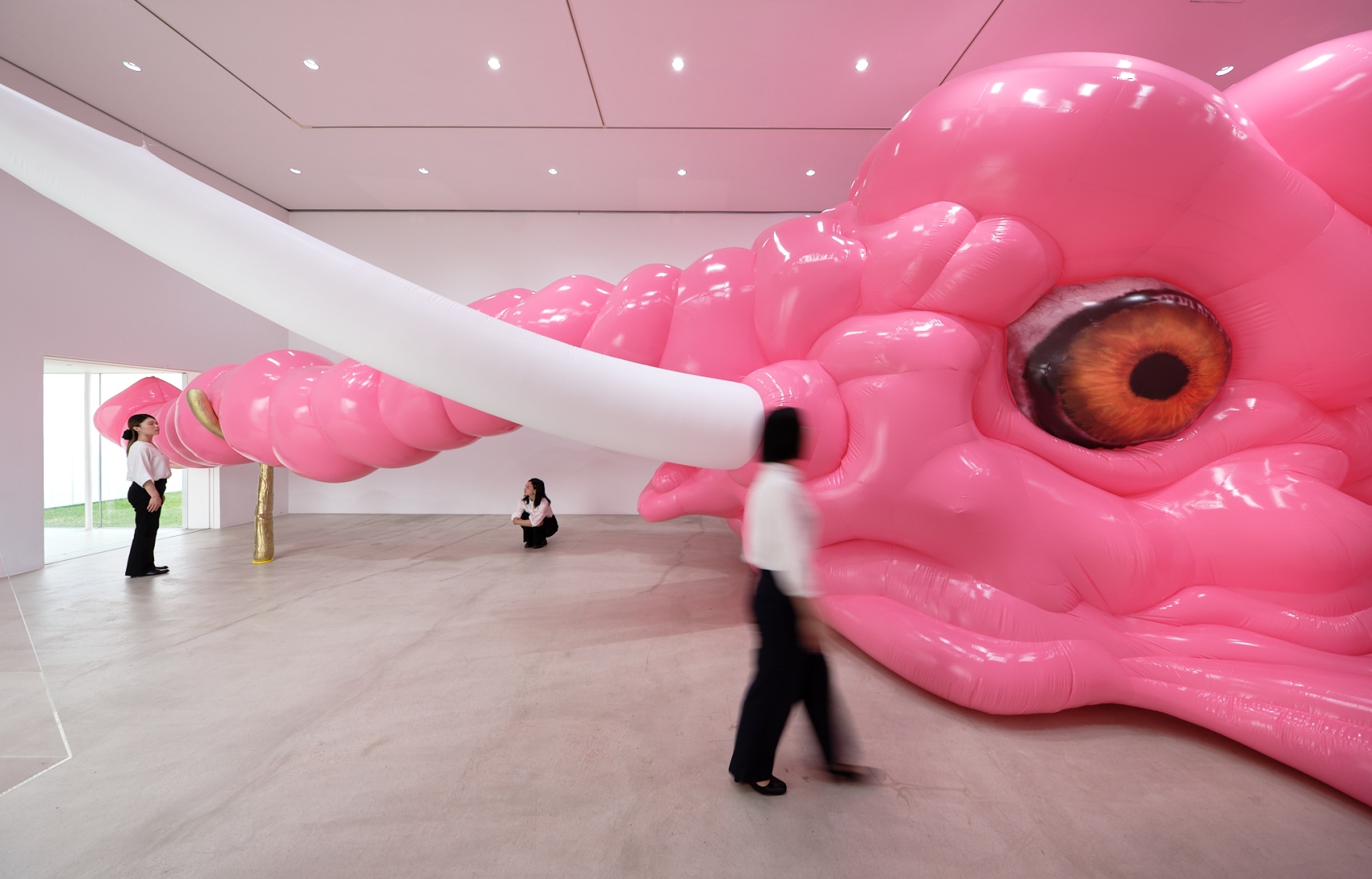 Getting Comfortable with the Elephant in the Room: Noboru Tsubaki at Towada Art Center